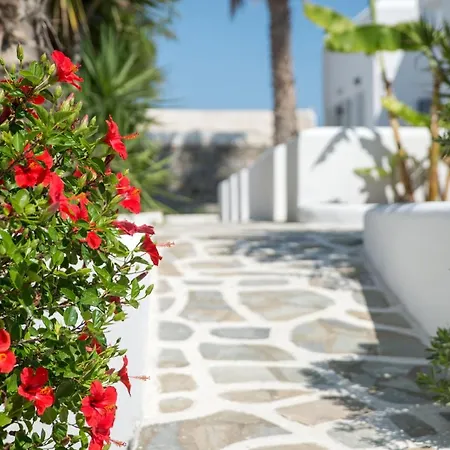 Summer Shades Hotel - Ex Arkoulis 3* Naousa (Paros)