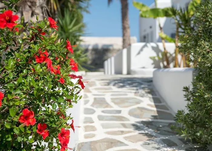 Summer Shades - Ex Arkoulis 3* Nausa